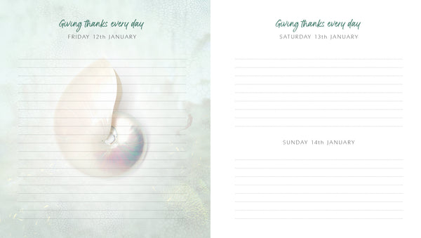 2024 Gratitude Diary plus FREE Moon Calendar